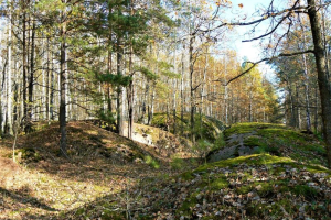 Экскурсия в Каменное село